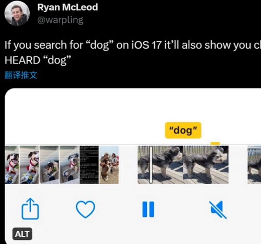 芮城apple维修店分享通过关键字搜索iPhone视频内声音 