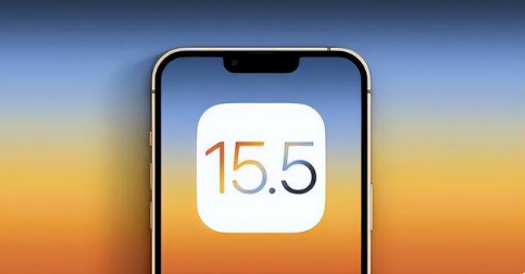 芮城苹果手机维修分享iOS15.5 RC版升级建议 